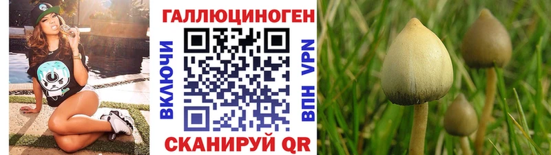 Галлюциногенные грибы GOLDEN TEACHER  Ставрополь 