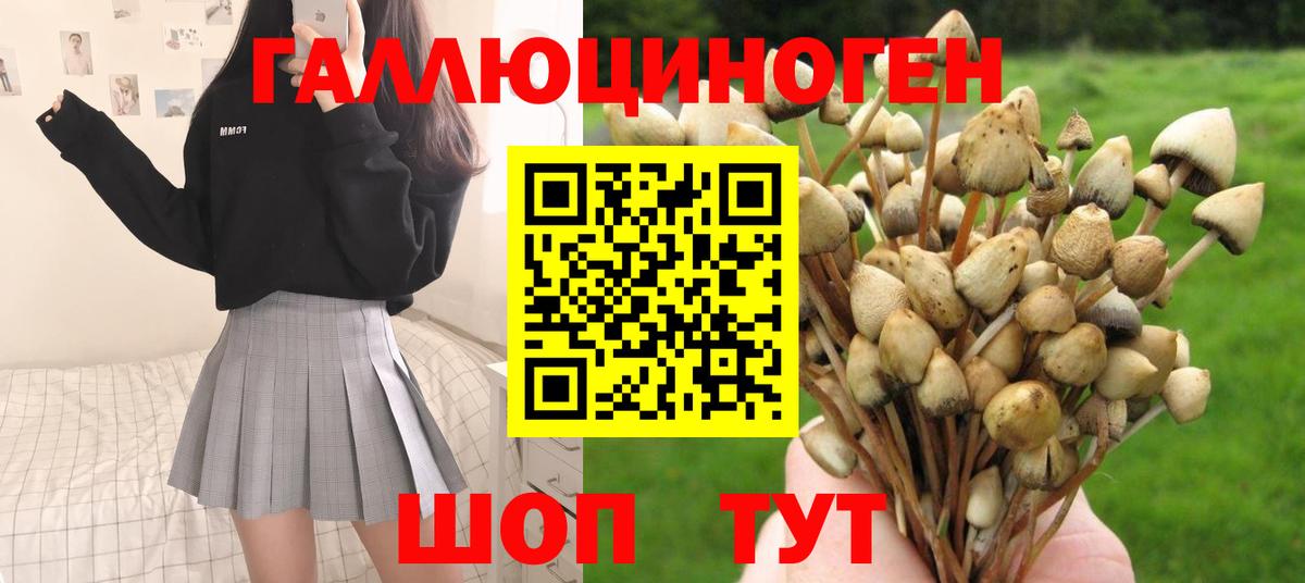 Ставрополь  Галлюциногенные грибы Magic Shrooms  наркотики  Вход с VPN 
