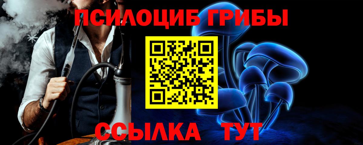 Псилоцибиновые грибы Magic Shrooms Ставрополь